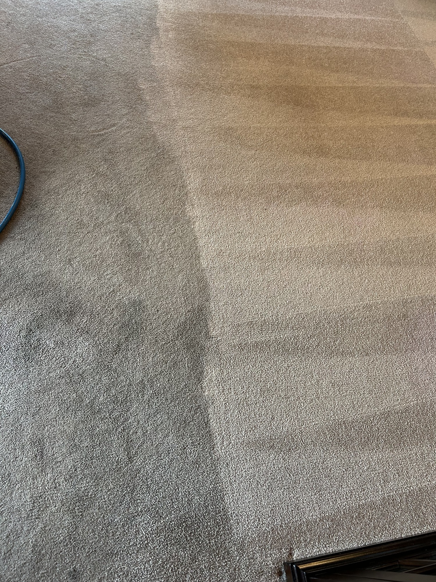picture of clean carpet